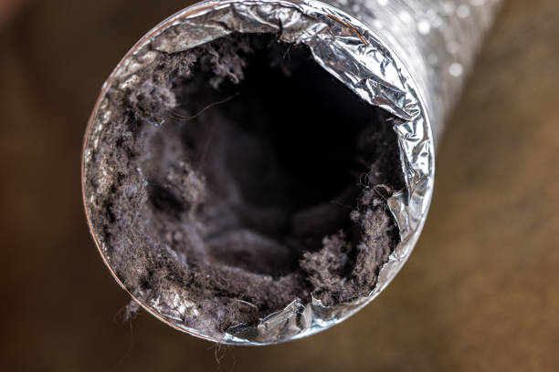 Best Emergency Air Duct Cleaning  in Many, LA