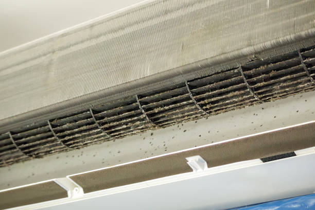 Best General Air Duct Cleaning  in Many, LA
